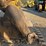 2004-caterpillar-321c-image-13