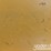 2019-caterpillar-336-image-89