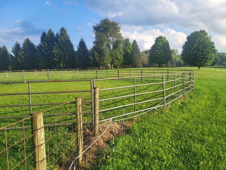 (18)-gate-round-pen-w/walk-through-gate-image-6