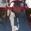 ford-tractor-image-17