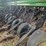 john-deere-1560-image-7
