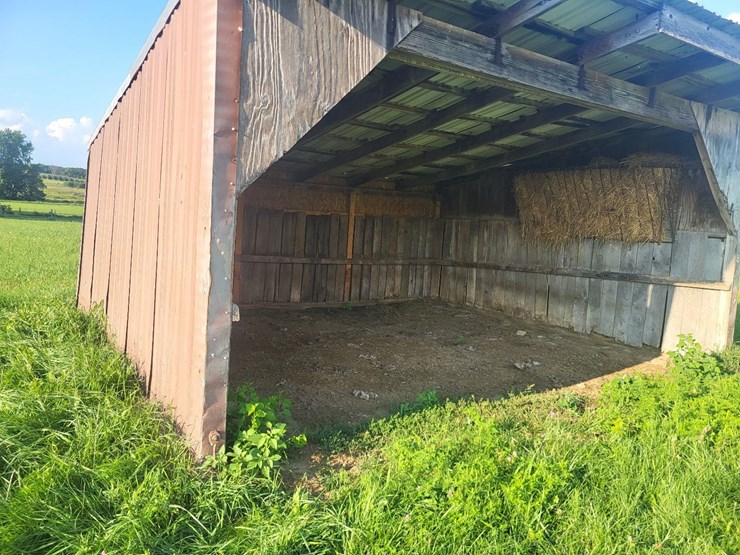 3-sided-tramp-shed-image-10