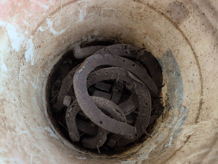 used-horseshoes-image-2
