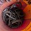 used-horseshoes-image-3