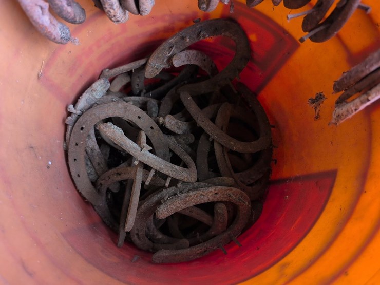 used-horseshoes-image-3