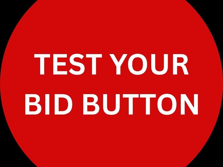 #6-•-test-your-bid-button!-image-1