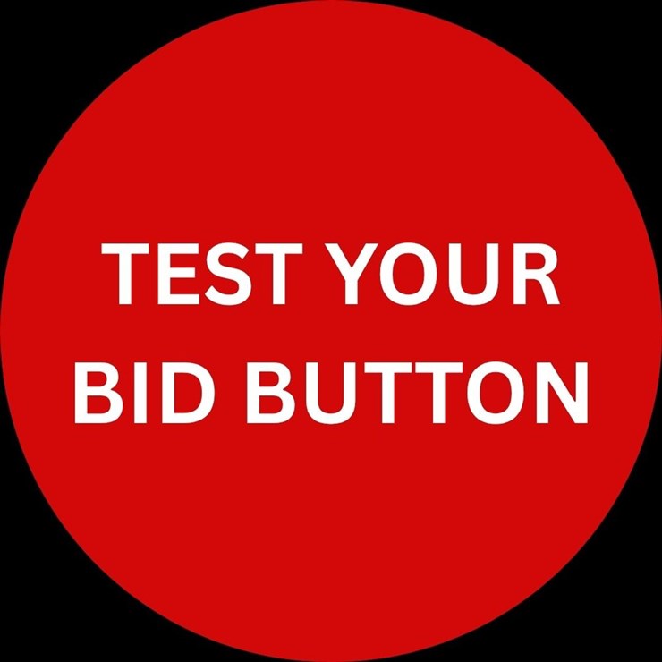 #6 • TEST YOUR BID BUTTON!