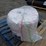 polyester-arborist-outdoor-rope-image-1