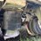#4525-•-2010-eager-beaver-50-gsl-tri-axle-lowboy-image-43