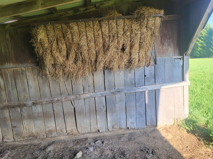 3-sided-tramp-shed-image-20