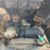 2019-deere-333g-image-31
