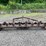 #4516-•-root-rake-approx.-135"-image-1