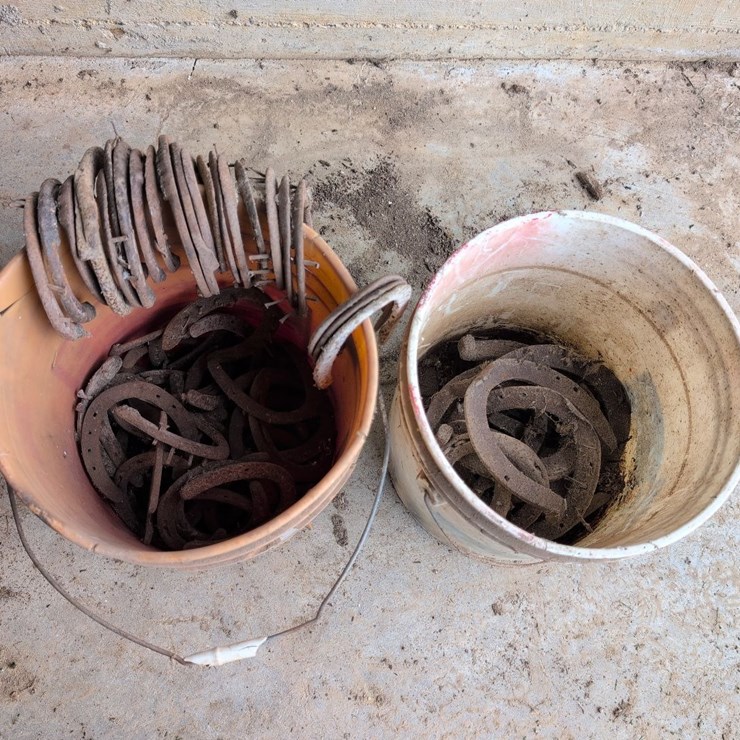 Used Horseshoes