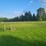 (18)-gate-round-pen-w/walk-through-gate-image-5