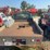 1994-chevrolet-3500-image-8