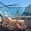 kinze-1040-image-17