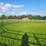 (18)-gate-round-pen-w/walk-through-gate-image-11