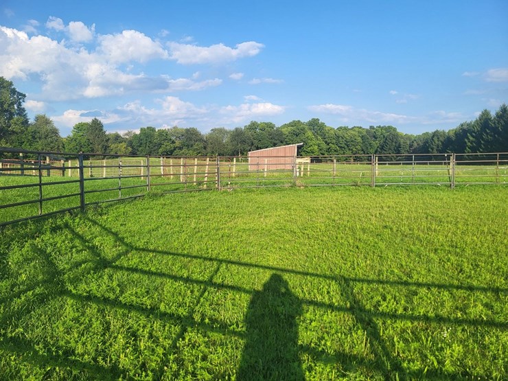 (18)-gate-round-pen-w/walk-through-gate-image-11
