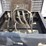 1999-freightliner-fl70-image-10