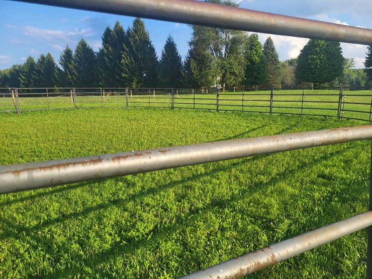 (18)-gate-round-pen-w/walk-through-gate-image-8
