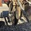 international-12-image-5