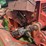 hesston-1091-image-8