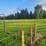 (18)-gate-round-pen-w/walk-through-gate-image-7