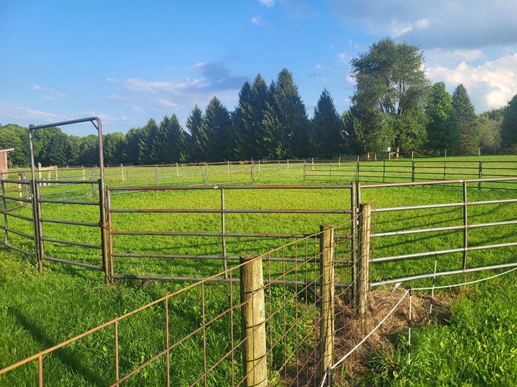 (18)-gate-round-pen-w/walk-through-gate-image-7