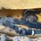 deere-325-image-29