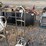 stainless-steel-hand-truck-image-2