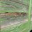 john-deere-115-image-10