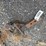 trailer-hitch-image-1