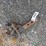 trailer-hitch-image-2