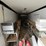 2020-bravo-trailers-40’-x-102”-3-axle-enclosed-gooseneck-trailer-image-8
