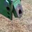 blanchard-7-bottom-mo-board-plow-image-2