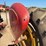 massey-harris-444-image-23