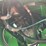 2015-deere-437d-image-45