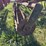 case-ih-5300-image-18