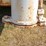 20'x6'-gooseneck-stock-trailer,-covered-image-2