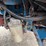ford-tw25-image-12