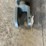 deere-648-image-7