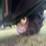 john-deere-7800-image-75