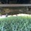 gmc-2500-image-35