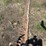 john-deere-350-image-14