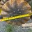 1999-john-deere-1780-image-11