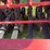 case-ih-5300-image-27