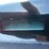 2012-ford-f250-image-13