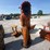 #94-•-large-teakwood-indian-chief-image-4