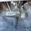 2011-ford-f550-image-36