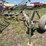john-deere-7-image-3
